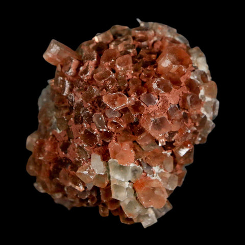 2.1" Aragonite Mineral Two Tone Crystal Cluster Specimen Tazouta Morocco - Fossil Age Minerals