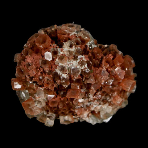 2.1" Aragonite Mineral Two Tone Crystal Cluster Specimen Tazouta Morocco - Fossil Age Minerals