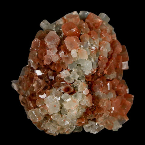 1.8" Aragonite Mineral Two Tone Crystal Cluster Specimen Tazouta Morocco - Fossil Age Minerals
