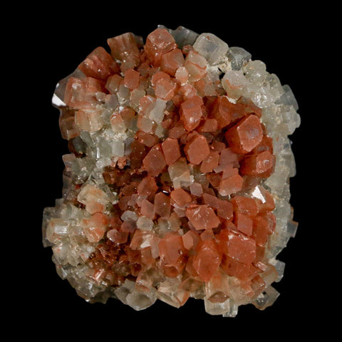 1.8" Aragonite Mineral Two Tone Crystal Cluster Specimen Tazouta Morocco - Fossil Age Minerals
