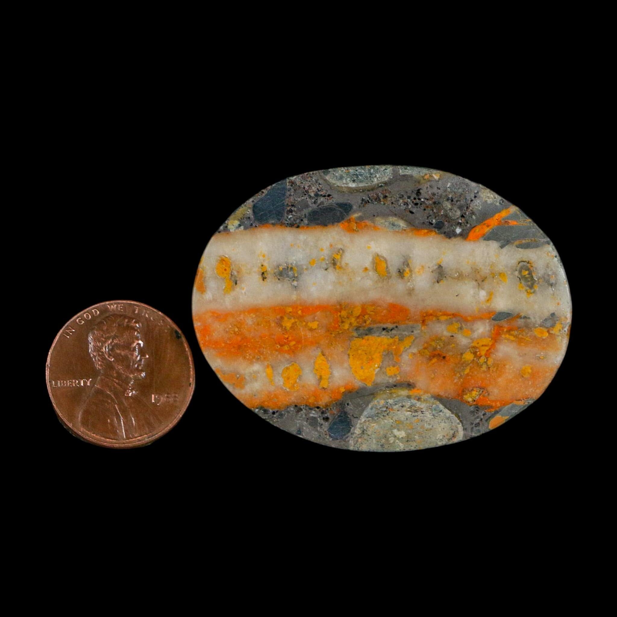 1.9" Bumblebee Jasper Natural Polished Mineral Palm Stone Java Indonesia - Fossil Age Minerals