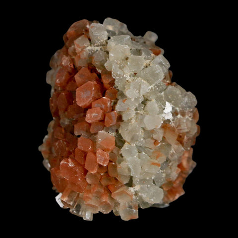 1.8" Aragonite Mineral Two Tone Crystal Cluster Specimen Tazouta Morocco - Fossil Age Minerals
