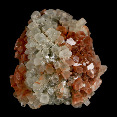 1.8" Aragonite Mineral Two Tone Crystal Cluster Specimen Tazouta Morocco - Fossil Age Minerals