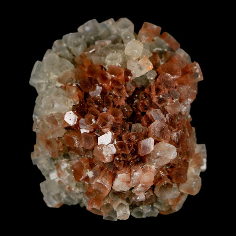 1.8" Aragonite Mineral Two Tone Crystal Cluster Specimen Tazouta Morocco - Fossil Age Minerals