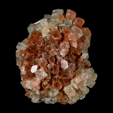 1.8" Aragonite Mineral Two Tone Crystal Cluster Specimen Tazouta Morocco - Fossil Age Minerals