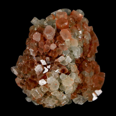 1.8" Aragonite Mineral Two Tone Crystal Cluster Specimen Tazouta Morocco - Fossil Age Minerals