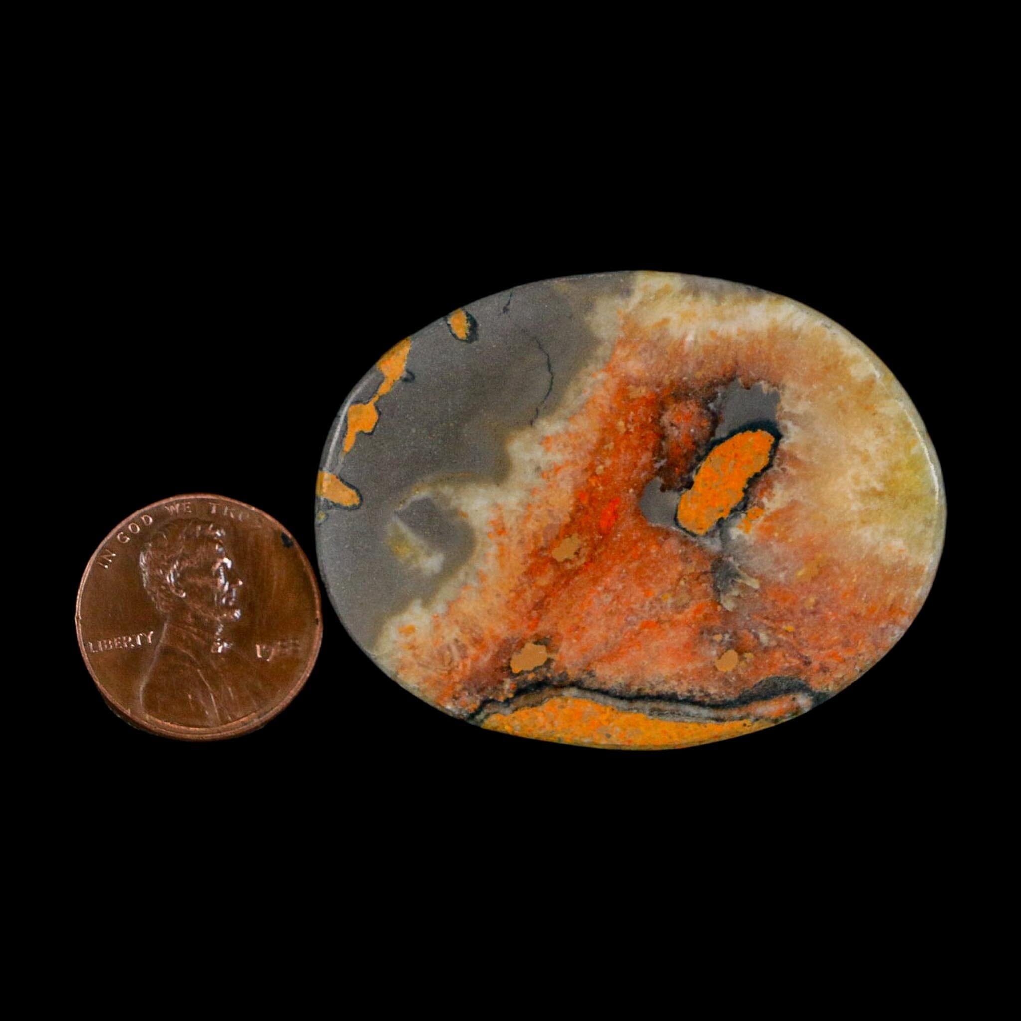 1.9" Bumblebee Jasper Natural Polished Mineral Palm Stone Java Indonesia - Fossil Age Minerals
