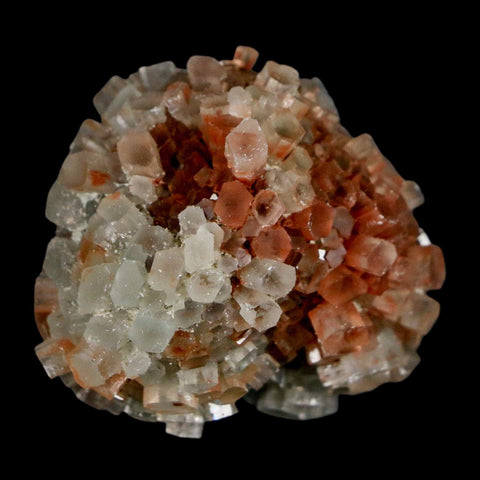 1.7" Aragonite Mineral Two Tone Crystal Cluster Specimen Tazouta Morocco - Fossil Age Minerals