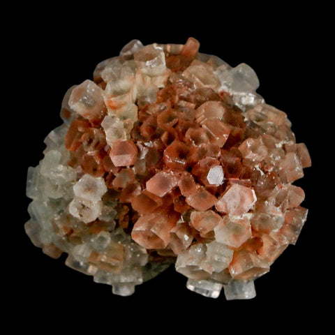 1.7" Aragonite Mineral Two Tone Crystal Cluster Specimen Tazouta Morocco - Fossil Age Minerals