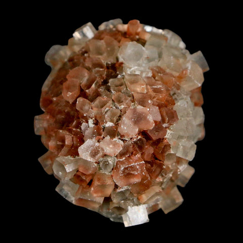 1.7" Aragonite Mineral Two Tone Crystal Cluster Specimen Tazouta Morocco - Fossil Age Minerals