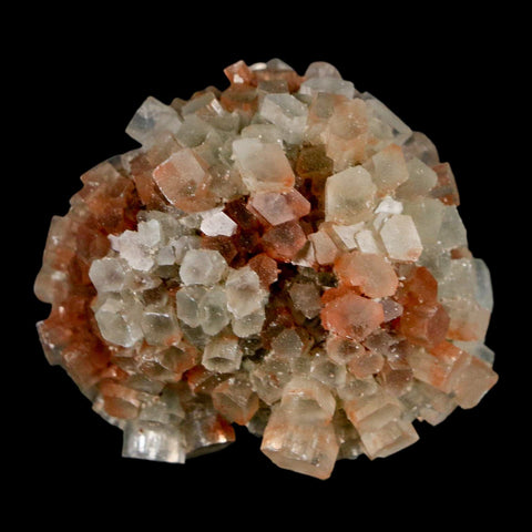 1.7" Aragonite Mineral Two Tone Crystal Cluster Specimen Tazouta Morocco - Fossil Age Minerals