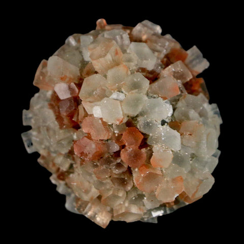 1.7" Aragonite Mineral Two Tone Crystal Cluster Specimen Tazouta Morocco - Fossil Age Minerals
