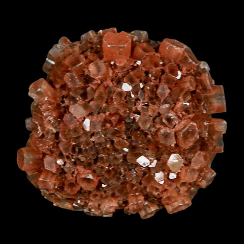 1.7" Aragonite Mineral Red Crystal Cluster Specimen Tazouta Morocco - Fossil Age Minerals