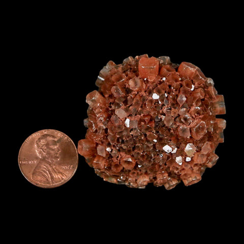 1.7" Aragonite Mineral Red Crystal Cluster Specimen Tazouta Morocco - Fossil Age Minerals