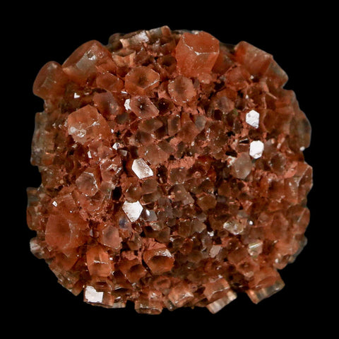 1.7" Aragonite Mineral Red Crystal Cluster Specimen Tazouta Morocco - Fossil Age Minerals