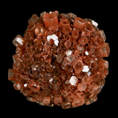1.7" Aragonite Mineral Red Crystal Cluster Specimen Tazouta Morocco - Fossil Age Minerals