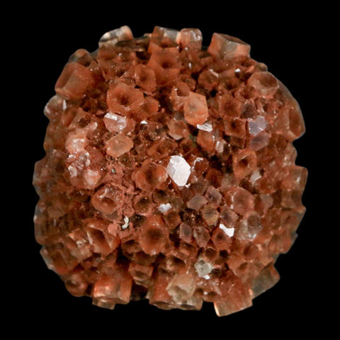 1.7" Aragonite Mineral Red Crystal Cluster Specimen Tazouta Morocco - Fossil Age Minerals