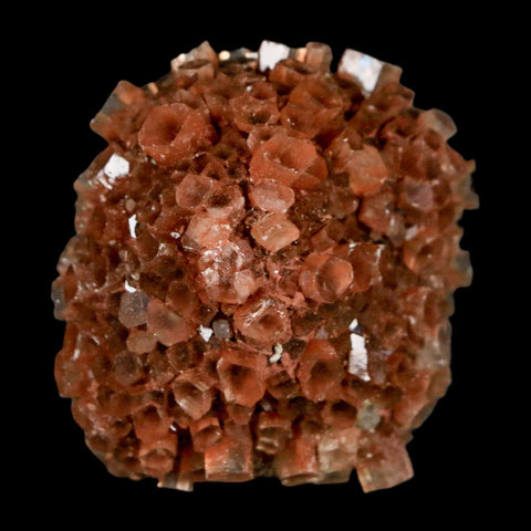 1.7" Aragonite Mineral Red Crystal Cluster Specimen Tazouta Morocco - Fossil Age Minerals