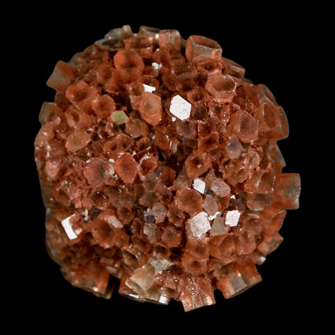 1.7" Aragonite Mineral Red Crystal Cluster Specimen Tazouta Morocco - Fossil Age Minerals