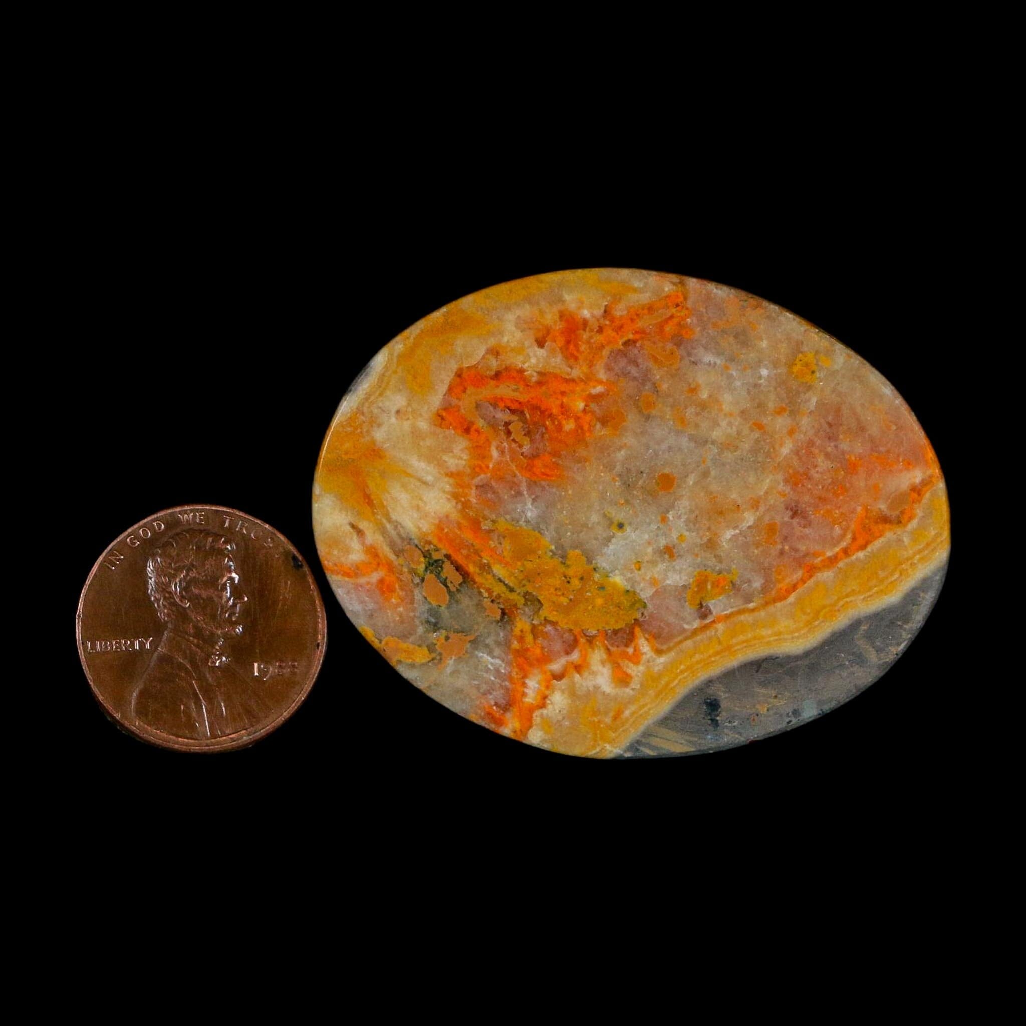 1.9" Bumblebee Jasper Natural Polished Mineral Palm Stone Java Indonesia - Fossil Age Minerals
