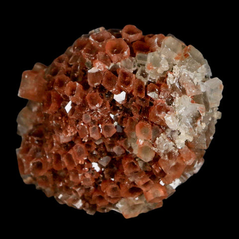 2.4" Aragonite Mineral Two Tone Crystal Cluster Specimen Tazouta Morocco - Fossil Age Minerals