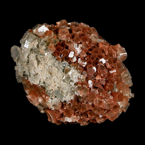 2.4" Aragonite Mineral Two Tone Crystal Cluster Specimen Tazouta Morocco - Fossil Age Minerals