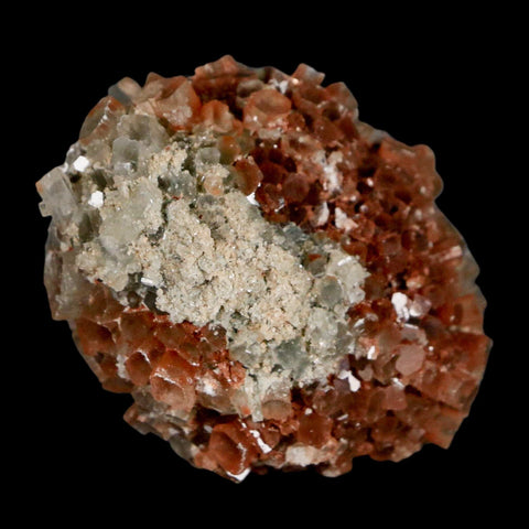 2.4" Aragonite Mineral Two Tone Crystal Cluster Specimen Tazouta Morocco - Fossil Age Minerals