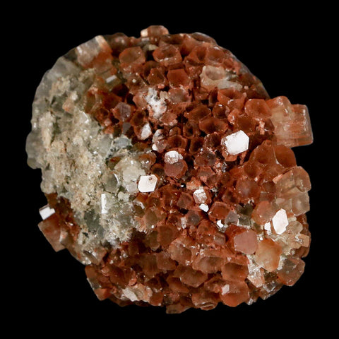 2.4" Aragonite Mineral Two Tone Crystal Cluster Specimen Tazouta Morocco - Fossil Age Minerals