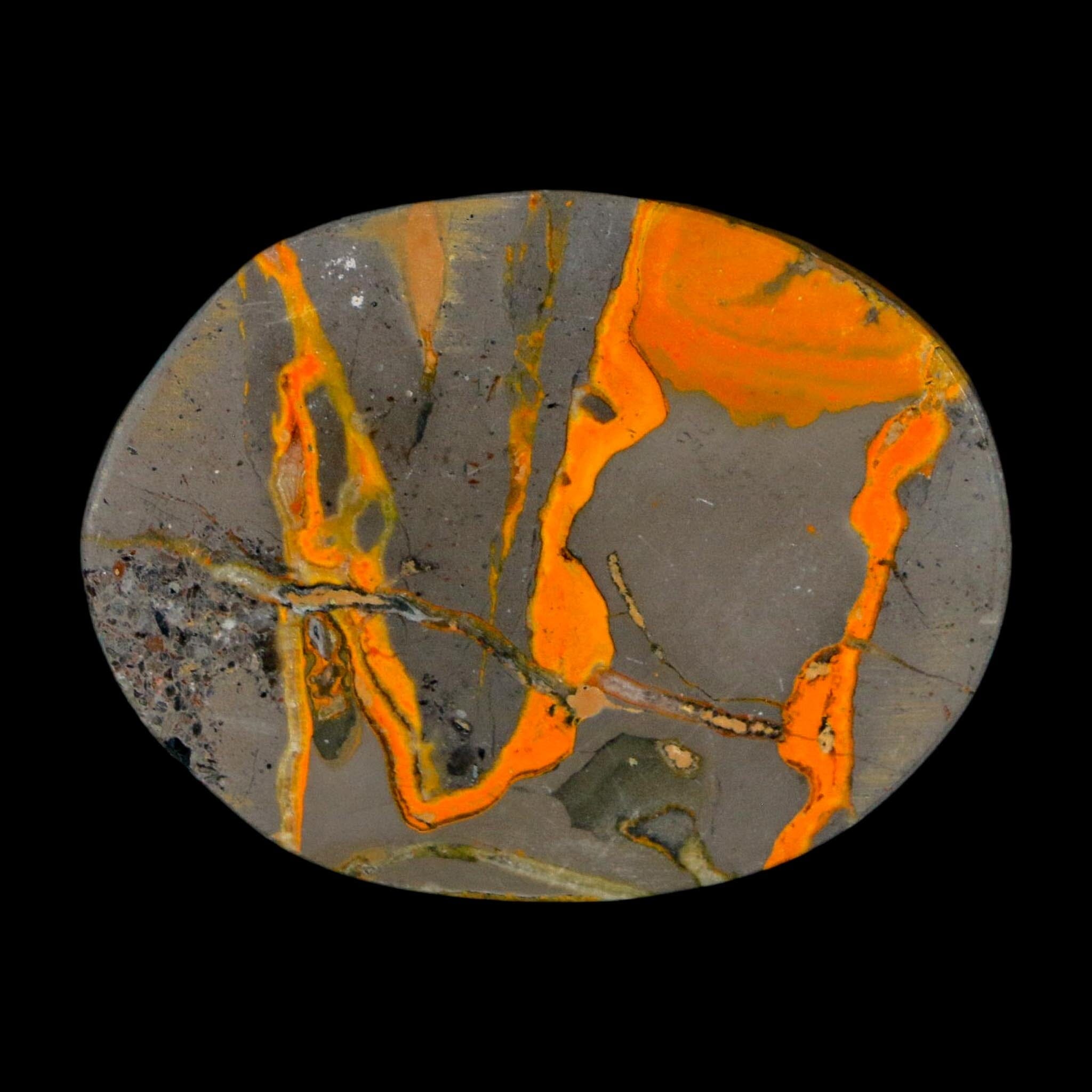 1.9" Bumblebee Jasper Natural Polished Mineral Palm Stone Java Indonesia - Fossil Age Minerals