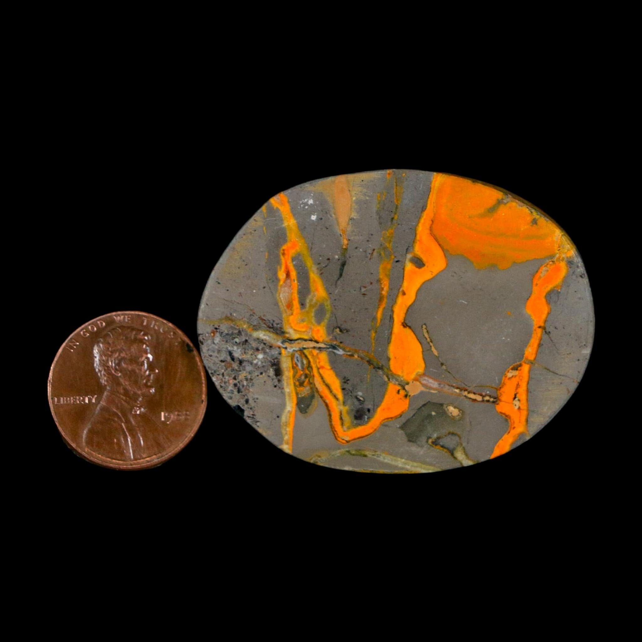 1.9" Bumblebee Jasper Natural Polished Mineral Palm Stone Java Indonesia - Fossil Age Minerals