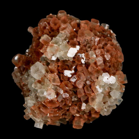 2.1" Aragonite Mineral Two Tone Crystal Cluster Specimen Tazouta Morocco