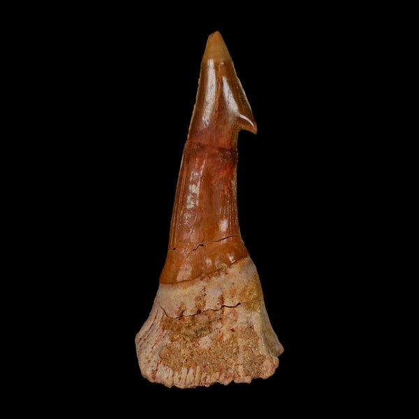 XL 2.8