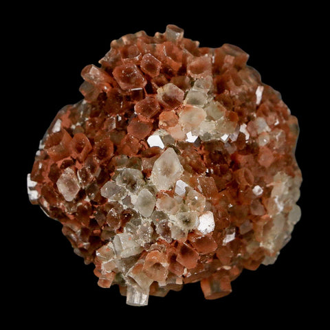 2.1" Aragonite Mineral Two Tone Crystal Cluster Specimen Tazouta Morocco - Fossil Age Minerals