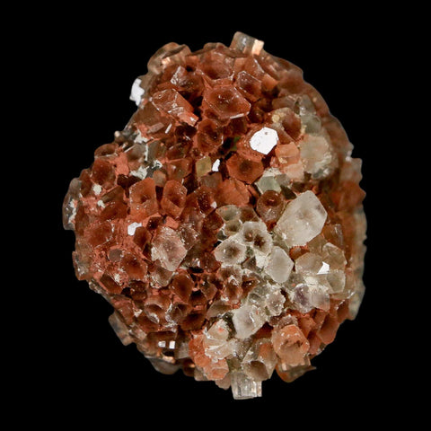 2.1" Aragonite Mineral Two Tone Crystal Cluster Specimen Tazouta Morocco - Fossil Age Minerals