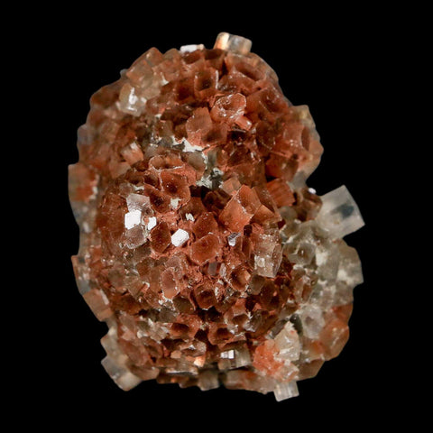 2.1" Aragonite Mineral Two Tone Crystal Cluster Specimen Tazouta Morocco - Fossil Age Minerals
