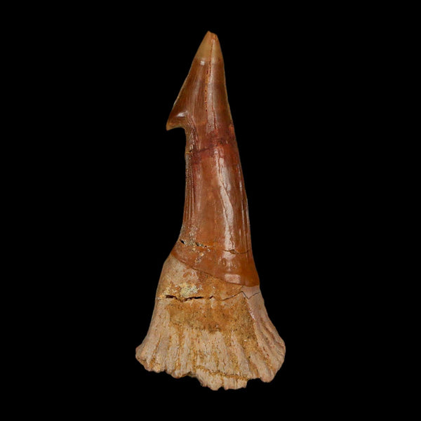 XL 2.8