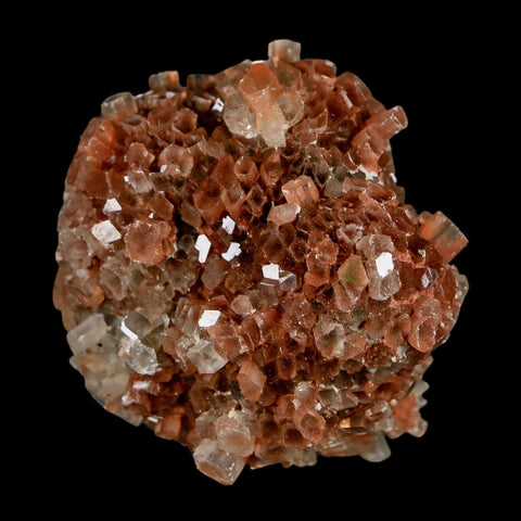 2.1" Aragonite Mineral Two Tone Crystal Cluster Specimen Tazouta Morocco - Fossil Age Minerals