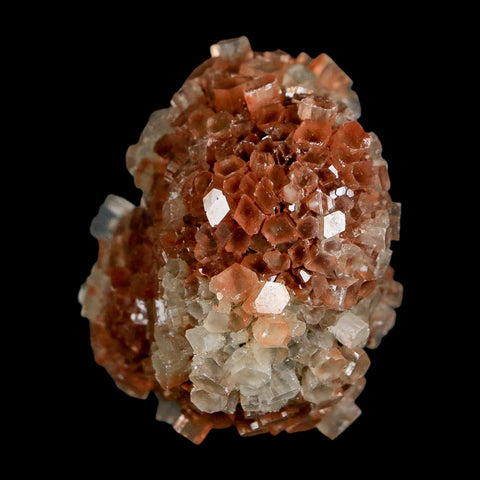 2.1" Aragonite Mineral Two Tone Crystal Cluster Specimen Tazouta Morocco - Fossil Age Minerals