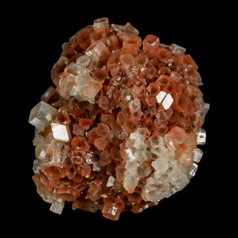 2.1" Aragonite Mineral Two Tone Crystal Cluster Specimen Tazouta Morocco - Fossil Age Minerals