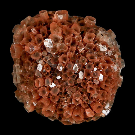 1.7" Aragonite Mineral Two Tone Crystal Cluster Specimen Tazouta Morocco