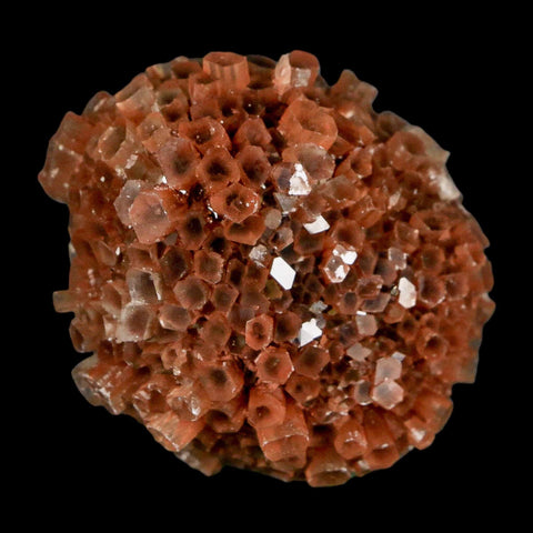 1.7" Aragonite Mineral Two Tone Crystal Cluster Specimen Tazouta Morocco - Fossil Age Minerals