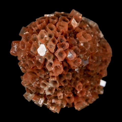 1.7" Aragonite Mineral Two Tone Crystal Cluster Specimen Tazouta Morocco - Fossil Age Minerals