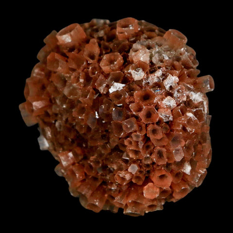 1.7" Aragonite Mineral Two Tone Crystal Cluster Specimen Tazouta Morocco - Fossil Age Minerals