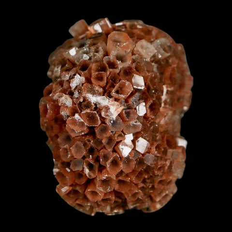 1.7" Aragonite Mineral Two Tone Crystal Cluster Specimen Tazouta Morocco - Fossil Age Minerals