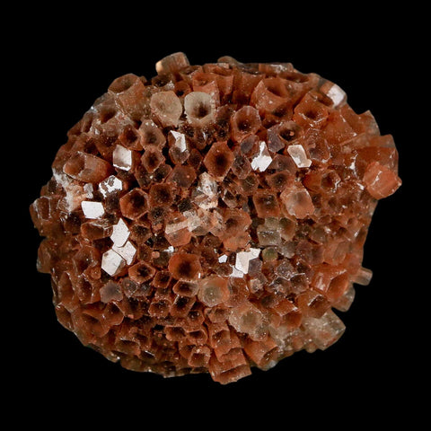 1.7" Aragonite Mineral Two Tone Crystal Cluster Specimen Tazouta Morocco - Fossil Age Minerals