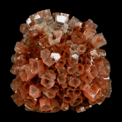 1.8" Aragonite Mineral Two Tone Crystal Cluster Specimen Tazouta Morocco - Fossil Age Minerals