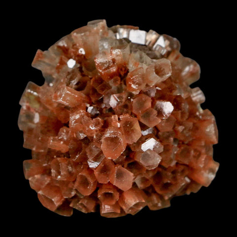 1.8" Aragonite Mineral Two Tone Crystal Cluster Specimen Tazouta Morocco - Fossil Age Minerals