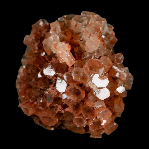 1.8" Aragonite Mineral Two Tone Crystal Cluster Specimen Tazouta Morocco - Fossil Age Minerals