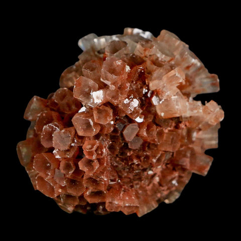 1.8" Aragonite Mineral Two Tone Crystal Cluster Specimen Tazouta Morocco - Fossil Age Minerals