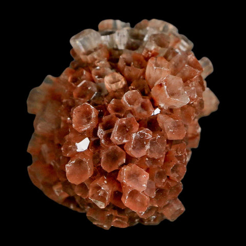 1.8" Aragonite Mineral Two Tone Crystal Cluster Specimen Tazouta Morocco - Fossil Age Minerals